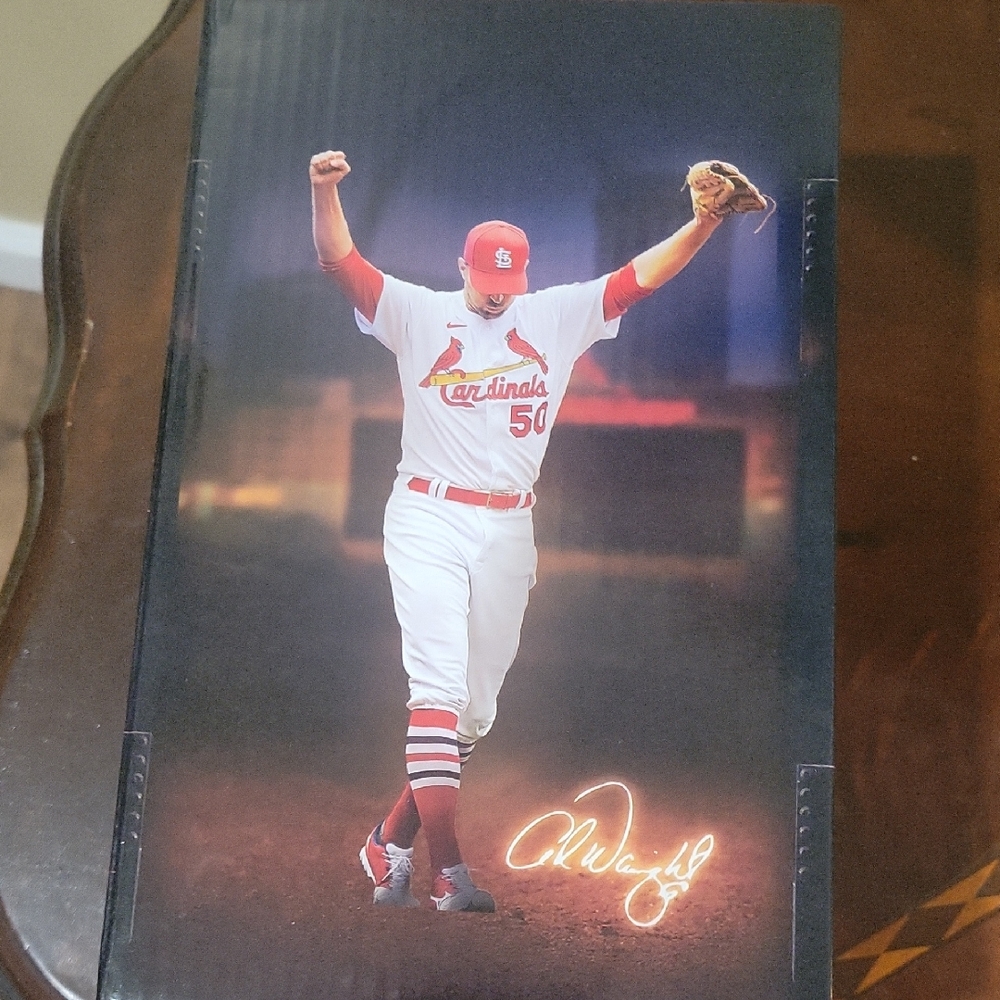 Cardinals Baseball Poster in Red and White